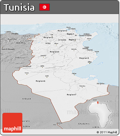 Gray Panoramic Map of Tunisia