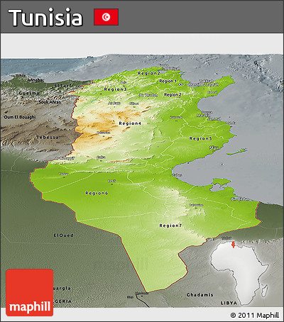 Physical Panoramic Map of Tunisia, darken, semi-desaturated