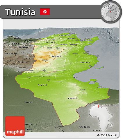 Physical Panoramic Map of Tunisia, darken, semi-desaturated