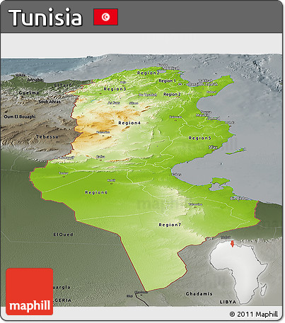 Physical Panoramic Map of Tunisia, darken, semi-desaturated