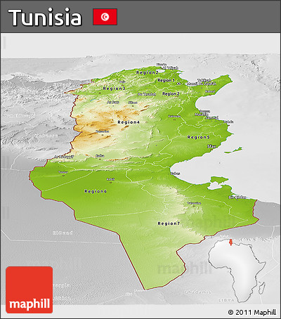 Physical Panoramic Map of Tunisia, lighten, desaturated