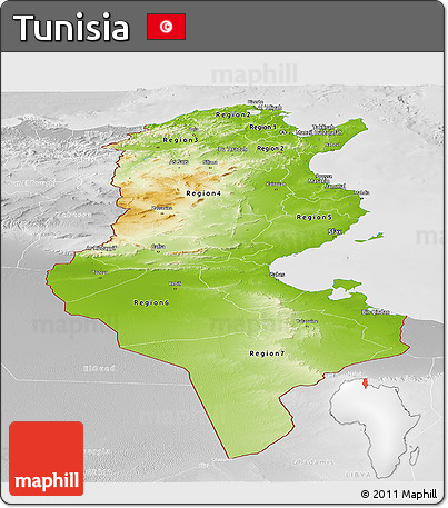 Physical Panoramic Map of Tunisia, lighten, desaturated