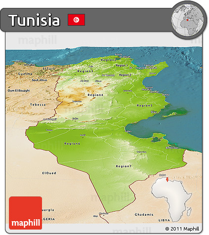 Physical Panoramic Map of Tunisia, satellite outside