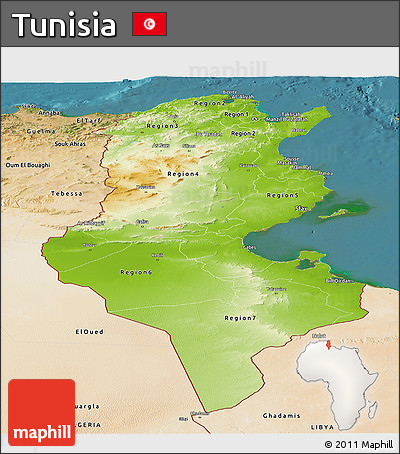 Physical Panoramic Map of Tunisia, satellite outside