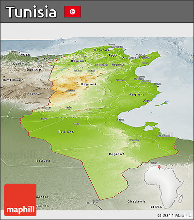 Physical Panoramic Map of Tunisia, semi-desaturated