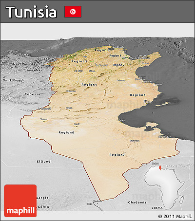 Satellite Panoramic Map of Tunisia, desaturated