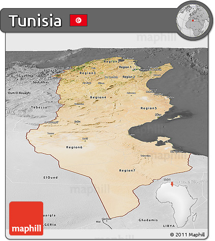 Satellite Panoramic Map of Tunisia, desaturated