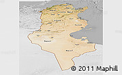 Satellite Panoramic Map of Tunisia, lighten, desaturated