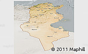 Satellite Panoramic Map of Tunisia, lighten, semi-desaturated