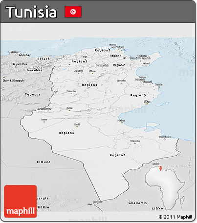 Silver Style Panoramic Map of Tunisia
