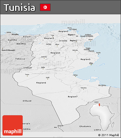 Silver Style Panoramic Map of Tunisia