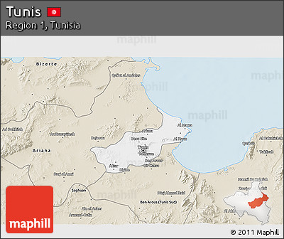 Classic Style 3D Map of Tunis