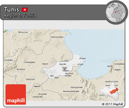 Classic Style 3D Map of Tunis