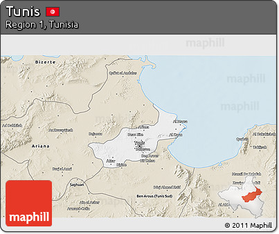 Classic Style 3D Map of Tunis