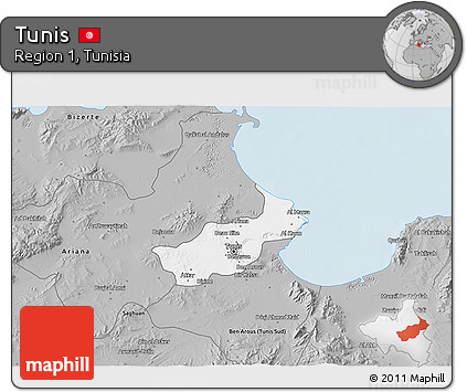 Gray 3D Map of Tunis