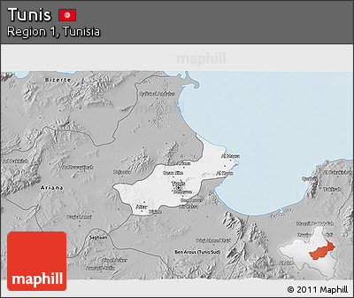 Gray 3D Map of Tunis