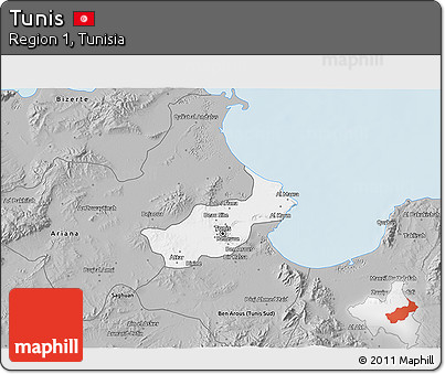 Gray 3D Map of Tunis