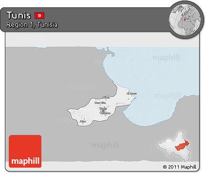 Gray 3D Map of Tunis, single color outside