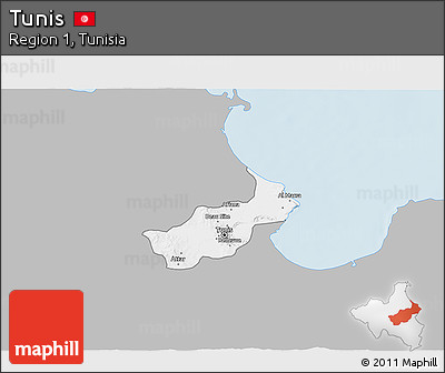 Gray 3D Map of Tunis, single color outside