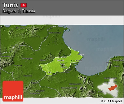 Physical 3D Map of Tunis, darken