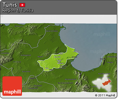 Physical 3D Map of Tunis, darken