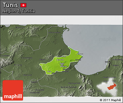 Physical 3D Map of Tunis, darken, semi-desaturated