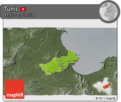 Physical 3D Map of Tunis, darken, semi-desaturated