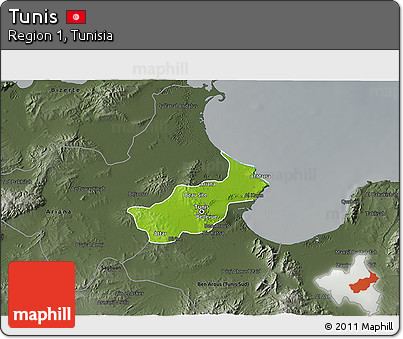 Physical 3D Map of Tunis, darken, semi-desaturated