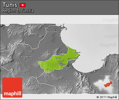 Physical 3D Map of Tunis, desaturated