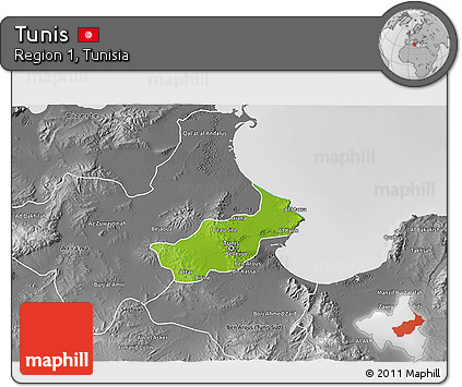 Physical 3D Map of Tunis, desaturated