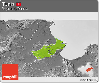 Physical 3D Map of Tunis, desaturated