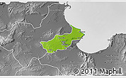Physical 3D Map of Tunis, desaturated