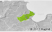 Physical 3D Map of Tunis, lighten, desaturated