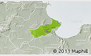 Physical 3D Map of Tunis, lighten, semi-desaturated