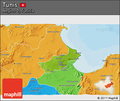 Physical 3D Map of Tunis, political outside