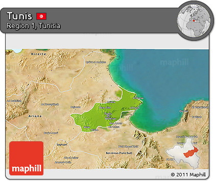 Physical 3D Map of Tunis, satellite outside