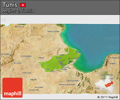 Physical 3D Map of Tunis, satellite outside