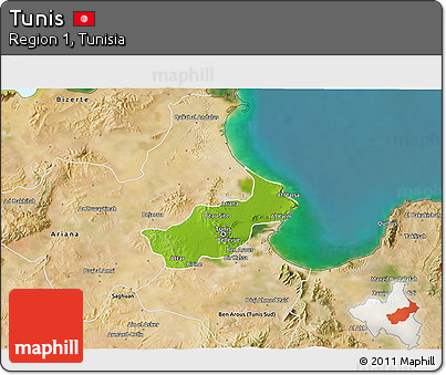 Physical 3D Map of Tunis, satellite outside