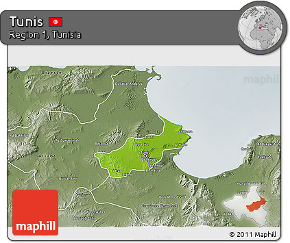 Physical 3D Map of Tunis, semi-desaturated