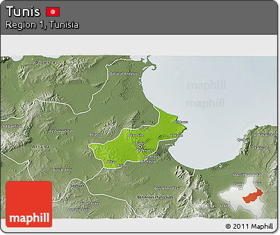 Physical 3D Map of Tunis, semi-desaturated