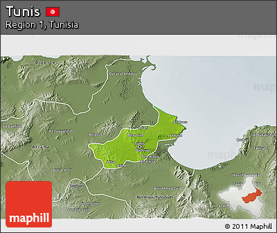 Physical 3D Map of Tunis, semi-desaturated