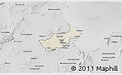 Shaded Relief 3D Map of Tunis, desaturated