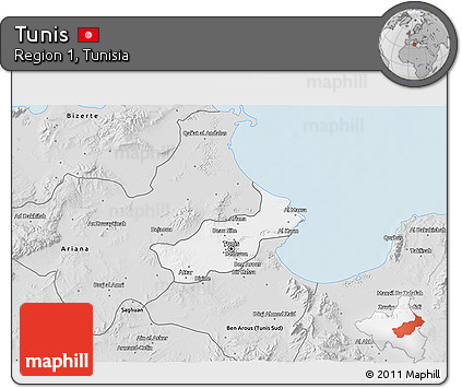Silver Style 3D Map of Tunis