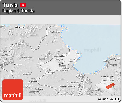 Silver Style 3D Map of Tunis