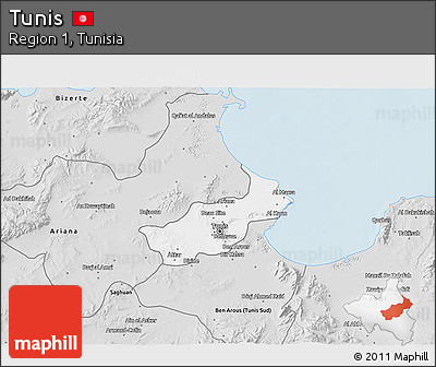 Silver Style 3D Map of Tunis