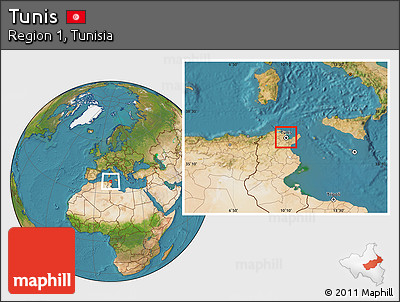 Satellite Location Map of Tunis