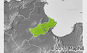 Physical Map of Tunis, desaturated