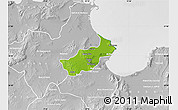 Physical Map of Tunis, lighten, desaturated
