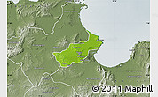 Physical Map of Tunis, semi-desaturated