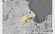 Satellite Map of Tunis, desaturated